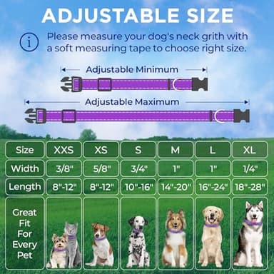TECEUM Reflective Dog Collar – Violet – S – Basic Nylon Pet Collar – Quick Release Buckle – Fits Small, Medium and Large Dogs, Puppies, Cats – ESA & Service Dog Options - Image 7