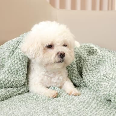 Snuggle Sac Heather Sage Green Throw Blanket for Couch, Reversible Super Soft Knitted Blankets Warm Cozy Fuzzy Throws for Sofa, Bed, Camping, Sage Green, 50x60 inches - Image 7