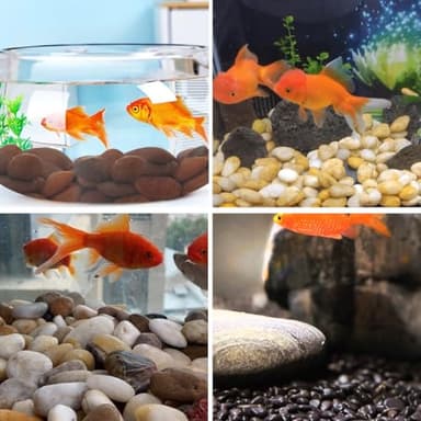 YISZM Rocks for Plant 5lbs, Red River Rocks 1-2 Inch Natural Pebbles for Indoor Plants, High Polished Decorative Stones Vase Filler Fish Tank Aquariums Landscaping Garden - Image 5