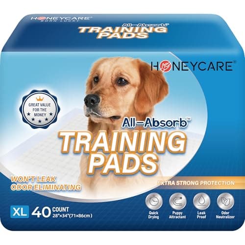 HONEY CARE All-Absorb, X-Large 28" x 34", 40 Count, Dog and Puppy Training Pads, Ultra Absorbent and Odor Eliminating, Leak-Proof 5-Layer Potty Training Pads with Quick-Dry Surface, Blue - Image 1