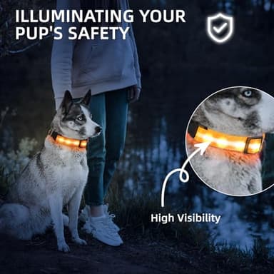 Super Bright LED Dog Collar - Fully Waterproof & Adjustable Glow Collar - USB-C Rechargeable for Night Walking, Safety - Flashing Lighted Collar for Dogs(Orange,L) - Image 2