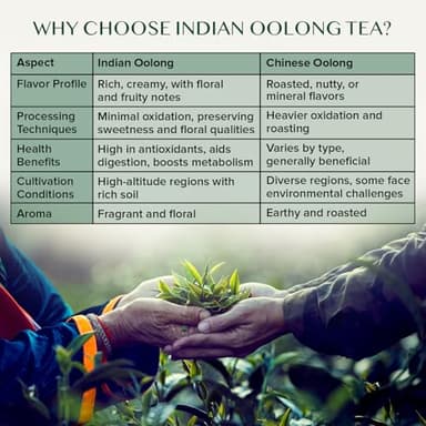 VAHDAM, High Mountain Oolong Tea Leaves From Himalayas (50+ Cups, 3.53oz) Strong & Robust Oolong Tea | High Elevation Grown | Vacuum Sealed | Brew Hot, Iced, Kombucha Tea | Loose Leaf Tea - Image 2