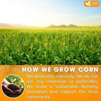 FreshDrinkUS, Premium 75 Tea Bags Corn Silk Tea, 100% Natural & Pure from Corn Silk. Corn Silk Herbal Tea. Clean Ingredients. Made with Natural Material Tea Bags. No Sugar, No Caffeine, Vegan. - Image 5