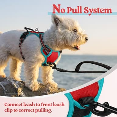 rabbitgoo Dog Harness No Pull with 2 Leash Clips, Adjustable Soft Padded, Reflective Oxford No Choke Pet Vest with Easy Control Handle for Puppy, Red & Teal, XS - Image 5