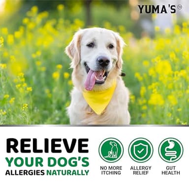 Dog Allergy Relief Chews - Dog Itching Skin Relief Treatment Pills - 170 Treats - Anti-Itch - Itchy and Paw Licking - Hot Spots - Omega 3 Fish Oil - Dry Skin & Coat Supplement - Beef Liver Flavor - Image 4