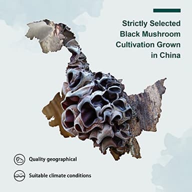 Soeos Dried Woodear Mushroom, Premium Compressed Black Fungus, Dried Black Fungus 7oz. - Image 5