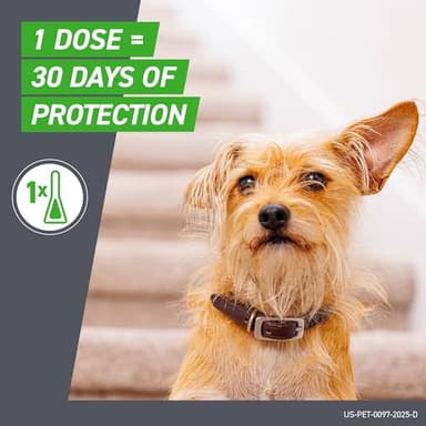 FRONTLINE Plus Flea and Tick Treatment for X-Large Dogs Up to 89 to 132 lbs. 3 Treatments - Image 5