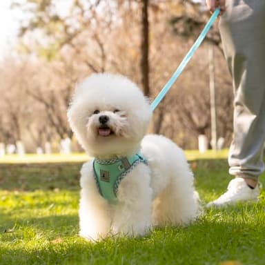 TomteNisse Dog Harness and Leash Set, No Pull Pet Harness for Small Dogs Easy Walking,Soft Breathable Small Dog Harness,Adjustable Reflective Step in Vest Harness for Puppy,Kitten, Cats - Image 7