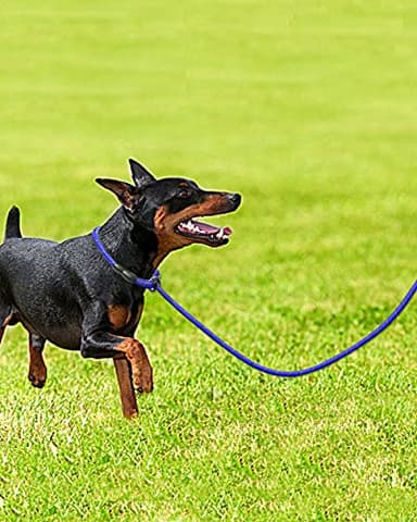 TagME Slip Leads for Dogs, 6 FT Heavy Duty Dog Leash with Padded Handle, Strong Rope No Pull Pet Training Leash for Small Dogs,Navy Blue - Image 6