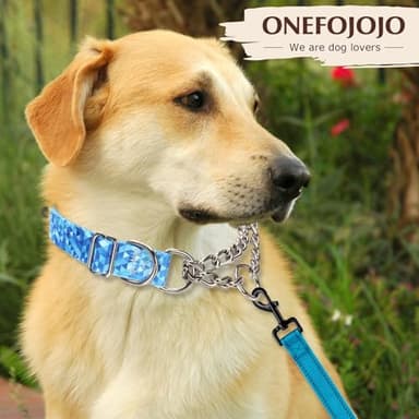 Martingale Collar for Dogs with Blue Geometric Diamonds, Trainer Approved Limited Slip Collar with Stainless Steel Chain, Adjustable No Choke Dog Collar, Perfect for Training, Walking, Hunting (M) - Image 7