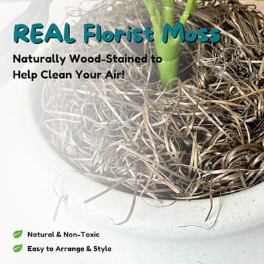 Good Pet Stuff Hidden Cat Litter Box Enclosure with Artificial Plant, Decorative Round Planter, Removable Tray, Charcoal Filter Odor Control, Easy-to-Clean, Made in USA, Essentials Kit, White - Image 10