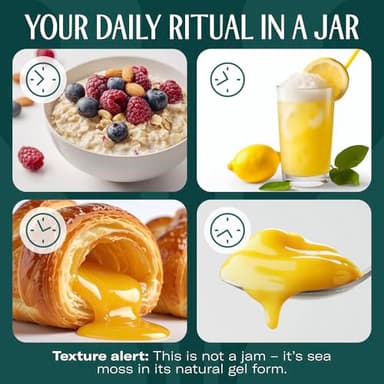 TrueSeaMoss Sea Moss Gel – Made in USA – Wildcrafted Seamoss, Fresh Fruits & Sea Vegetables – Lemon Pie, Pack of 1 (Labels may Vary) - Image 4