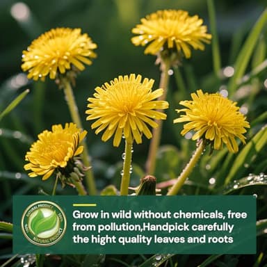 Dandelion Leaf and Root Tea Bag, Natural Dandelion Roasted Herbal Detox Teabag for Liver & Kidney Health, Support Digestion Dandelion Root Tea, Caffeine Free, No Additives（50 Teabags) - Image 2
