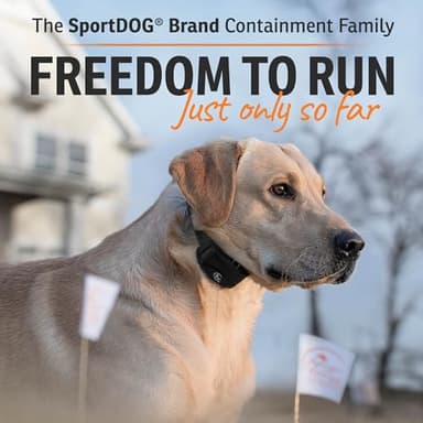 SportDOG Rechargeable In-Ground Fence System - Creates Secure Play Area - Electric Fence for Dogs - Waterproof Collar - Long-Lasting System - Expandable Design - Image 7