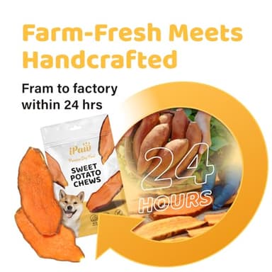 iPaw Sweet Potato Chews, Single Ingredient Dog Treats for Vegetarian, All Natural Human Grade Puppy Chew, Rawhide Alternative, Hypoallergenic, Easy to Digest - Image 5