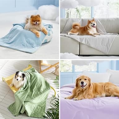 Lesure Premium Cooling Blankets for Large Dogs - Washable Dog Cooling Throw Blanket with Q-MAX>0.4，Durable Self Cooling Pet Mat for Cat, Soft Cooling Summer Blanket for Hot Weather, Green, 40x50 - Image 3