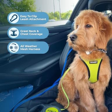 Best Pet Supplies Voyager Step-in Air Harness - All Weather Mesh, Reflective, No Pull Harness for Dogs, Cats - Secure with Hook & Loop Fastener, Buckle, Double D-Rings - Lime Green/Black Trim, M - Image 3