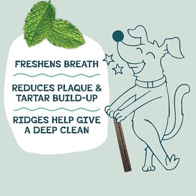 Shameless Pets Toothberry Dental Chews for Dogs – Natural Dog Dental Sticks for Fresh Breath, Teeth Cleaning & Removes Tartar, Grain-Free Dog Treats, No Corn or Soy, 32 Sticks - Image 4