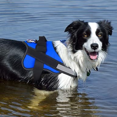 Bolux Dog Harness, No-Pull Reflective Dog Vest, Breathable Adjustable Pet Harness with Handle for Outdoor Walking - No More Pulling, Tugging or Choking (Blue, M) - Image 6