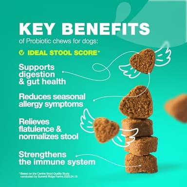 Probiotics for Dogs Gut Health, Digestion, Immunity, Yeast Balance, Itchy Skin, Allergies Support - Dog Probiotic Chews with Digestive Enzymes for Gut Flora- Soft Treats with Pumpkin and Yeast Powder - Image 3