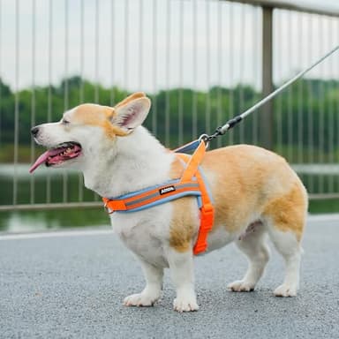 AIITLE Soft Padded Dog Vest Harness, No Pull Dog Harness with A Handle, Escape Proof/Quick Fit Reflective Dog Strap Harness, Easy for Training Walking Running for Small Dogs Orange-Blue XS - Image 4