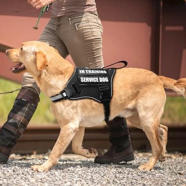 MOOGROU Service Dog Vest Harness and Leash Set+10 Patches,No Pull&Easy Walk Reflective Dog Harness with Soft Padded Handle for Training/Everyday,Fit Small/Medium/Large/Extra-Large Dogs(Black M) - Image 7