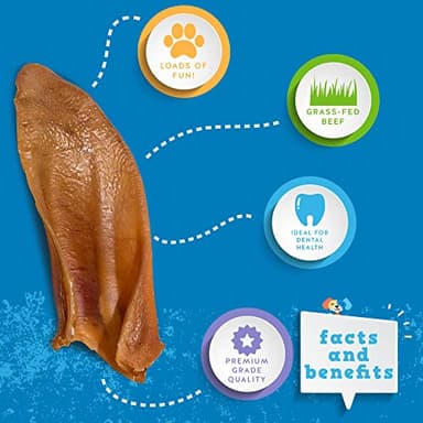 Jack&Pup Natural Half Pig Ears for Dogs Large, Pigs Ears for Dogs - Premium Dog Ear Treat - Dog Chew Treats for Large and Small Breeds (30 Pack) - Image 3