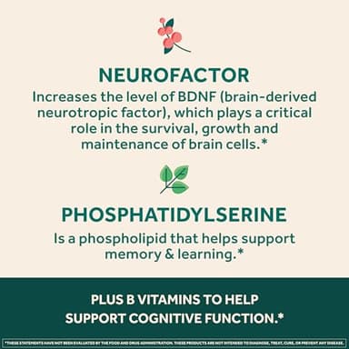 NEURIVA Ultra Decaffeinated Clinically Tested Nootropic Brain Supplement for Mental Alertness, Memory, Focus & Concentration, Cognivive, Neurofactor, Phosphatidylserine, Vitamins B6 B12, 60 Capsules - Image 7