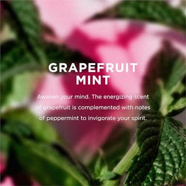 EO Shampoo and Conditioner Combo Pack, 16 Ounce Bottles (1 of Each), Grapefruit and Mint, Organic Plant Based, Hydrating & Smoothing For All Hair Types - Image 3