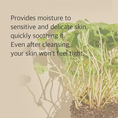 mixsoon Centella Cleansing Foam 5.07 fl oz/ 150ml,Low pH cleansing foam for soothing and moisturization - Image 4