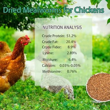 KAYHEN Dried Mealworms for Chickens 5LB Pure Natural Non-GMO High Protein Feed Meal Worms for Laying Hens Wild Birds - Image 2