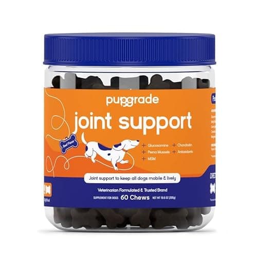 PupGrade Joint Support Supplement for Dogs - Natural Glucosamine Chondroitin with MSM - Hip & Joint Pain Relief - Recommended for Hip Dysplasia, Arthritis & Joint Disease - USA Tested - 60 Chews - Image 1