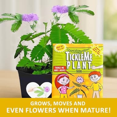 TickleMe Plant Seeds for Indoor Planting (2-Pack) – Interactive Party Favor | Leaves Close When Touched, Reopen in Minutes – Easy Indoor House Plant Seeds, Can Flower, Includes 10 Fun Activities - Image 6