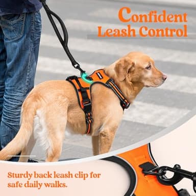 rabbitgoo Dog Harness No Pull with 2 Leash Clips, Adjustable Soft Padded, Reflective Oxford No Choke Pet Vest with Easy Control Handle for Large Dogs, Orange, XL - Image 6