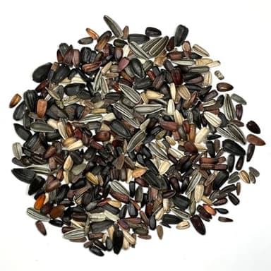 Seed Needs Sunflower Seeds to Plant The Original Crazy Blend | 500+ Heirloom Seeds 15+ Varieties Open Pollinated & Untreated | Resealable Bulk Package Multicolored Blooms Flower Seed - Image 5