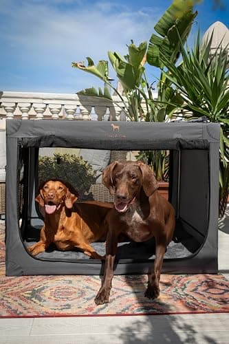 Noah & Paw Collapsible Dog Crate 36 Inches, XL Dog Crate for XL, Large Medium Breed, Travel Kennel for Car, Includes Pet Mat for Pet Cage, 2 Storage Pockets, Handbag, 10mm Locking Zippers 36*25*23 - Image 3