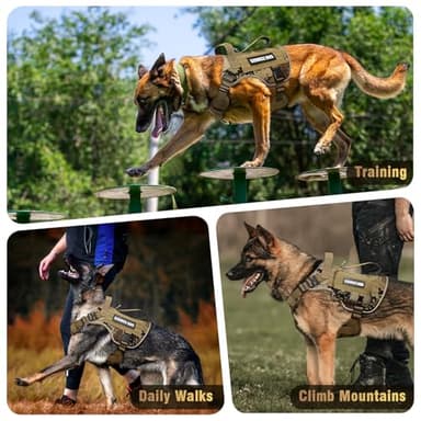 WINSEE Tactical Dog Harness for Medium Dog, Heavy Duty Service Working MOLLE Vest with 10 Pet Patches, 2X Metal Buckle Vest for Training Hunting Walking - Image 9