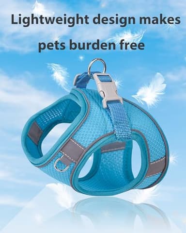 Aecllcea Dog Harness for Small Medium Sized Dog,Step in Puppy Harness and Leash Set Training Walking. (Blue, L) - Image 3