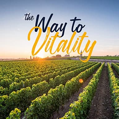 VITALITOWN Probiotics 120 Billion CFUs | 36 Strains, with Prebiotics & Digestive Enzymes for Men Women | Shelf Stable | Digestive Health & Immune Support | Vegan, Non-GMO | 30 Delayed Release Veg Caps - Image 6