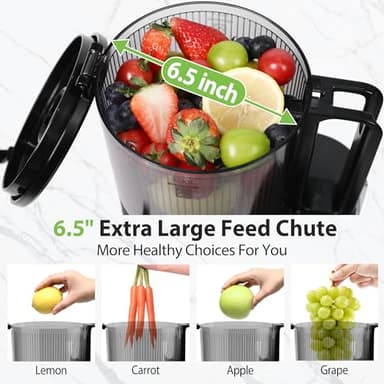 Cold Press Juicer, 6.5" Extra Large Feed Chute Juicer Machines, 350W Slow Masticating Juicer Machines with High Juice Yield for Whole Vegetables & Fruits, BPA Free, Titanium Gray, Easy to Clean - Image 2