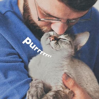 Adams Botanicals Flea and Tick Pet and Home Spray, Kills Fleas and Ticks; Plant-Based Protection with Essential Oils; Controls Fleas and Ticks in pet Bedding; 16 Ounces - Image 7