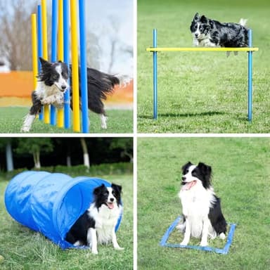 Yiotl Dog Agility Training Starter Kit Backyard Obstacle Course with Interactive Play, Agility Jumps, Weave Poles, Tunnels, Hurdle & Carrying Case - Image 3