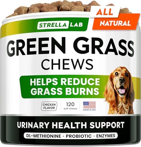 STRELLALAB Green Grass Dog Chews - Dog Pee Grass Helper - Supplement Urine Neutralizer for Grass Burn Spots - Grass Treatment for Pet Urine - Pee Lawn Repair Treats with Probiotics - Made in USA - Image 1