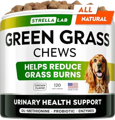 STRELLALAB Green Grass Dog Chews - Dog Pee Grass Helper - Supplement Urine Neutralizer for Grass Burn Spots - Grass Treatment for Pet Urine - Pee Lawn Repair Treats with Probiotics - Made in USA - Image 1