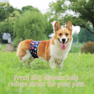 Frvxil Washable Male Dog Diapers: Reusable Belly Bands for Puppy - 3 Pack Absorbent Doggy Wraps (Dinosaur, Medium, Count, 3) - Image 4