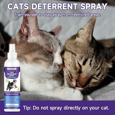 WEALLIN Cat Deterrent Spray, 6.76 FL Oz Natural Cat Repellent Spray Indoor & Outdoor, Anti-Scratch Training Aid for Furniture, Sofas, Rugs, Curtains, Plants - Non-Toxic, Alcohol-Free Formula - Image 7