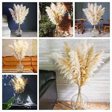 10 Stems 46" inch Dried Pampas Grass Decor Tall, Large Pompas Grass, Boho Neutral Home Decor Bouquet, Fluffy Pampass Grass for Floor Vase Wedding Floral Arrangements Wall Farmhouse Table Decor - Image 3