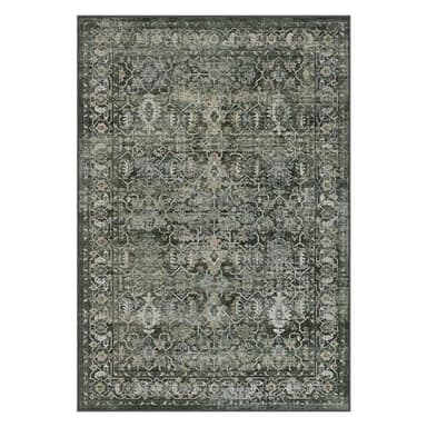 Lahome Boho Green 8x10 Area Rugs Living Room Rugs,Washable Bedroom Rug 8x10 Under Bed,Distressed Soft Non Slip Low Pile Indoor Dining Room Rug for Home Office Playroom(8'x10',Green) - Image 9