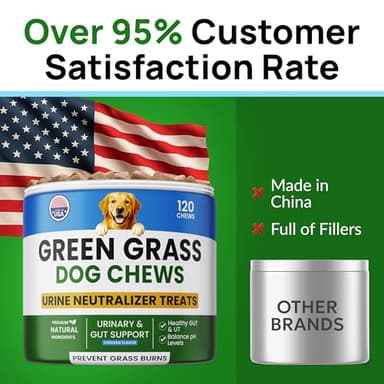 PAWFECTCHEW Green Grass Dog Chews w/Probiotics - Prevent Urine Burning Grass - Dog Pee Grass Spot Saver - Dog Urine Neutralizer for Lawn Treats, UT & Gut Health for Dogs, Lawn Burn from Dog Urine - Image 9