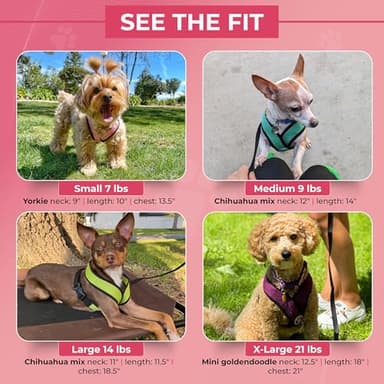 Gooby Comfort X Head in Harness - Purple, Small - No Pull Dog Harness with Patented Choke-Free X Frame for Small to Medium Dogs Indoor/Outdoor Use - Image 7